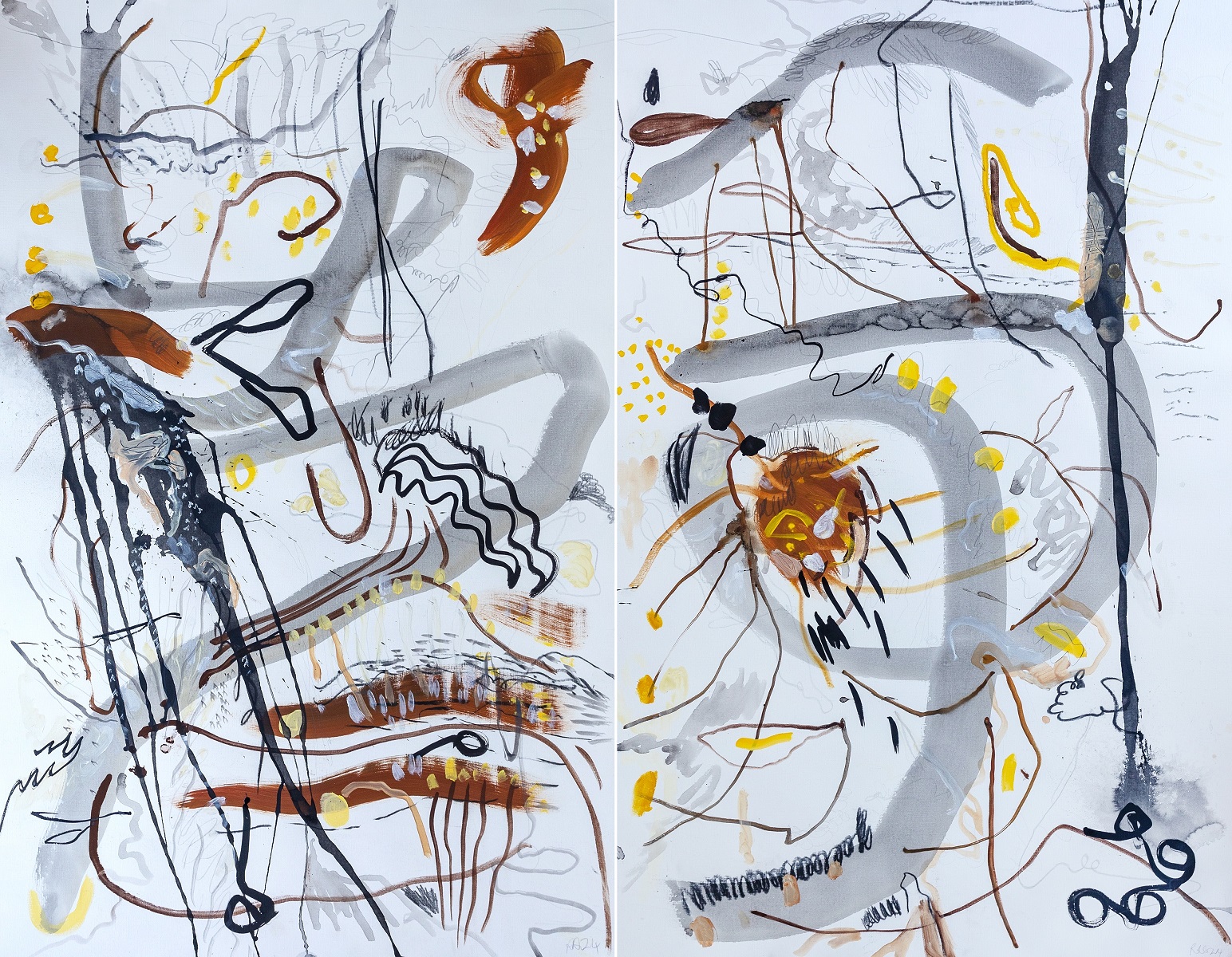 Yellow Tufted Honey Eater Dance Girraween National Park